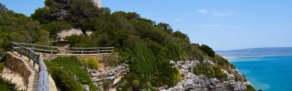 La Breña, Barbate